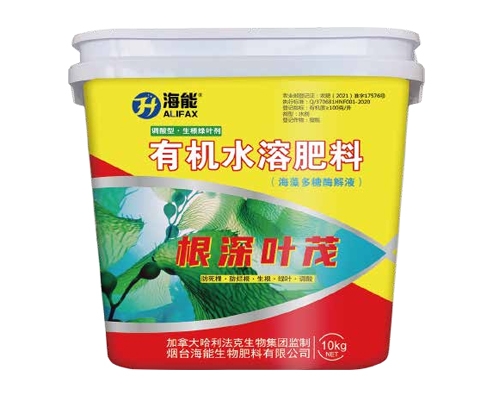 喀什根深叶茂